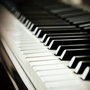 女性向AV在线观看
