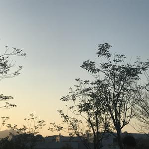 女性向AV在线观看
