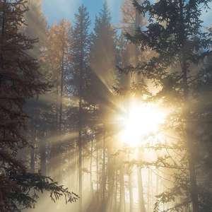 女性向AV在线观看
